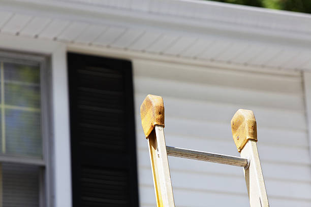 Best Engineered Wood Siding  in Vidalia, GA